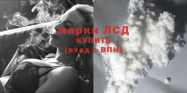 шишки Белокуриха