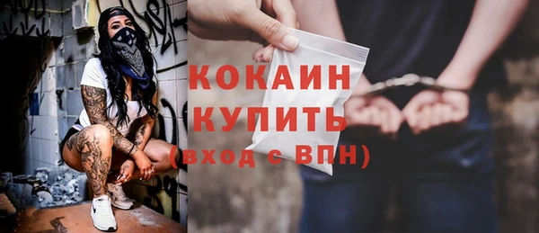 шишки Белокуриха