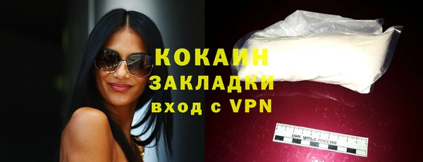 шишки Белокуриха