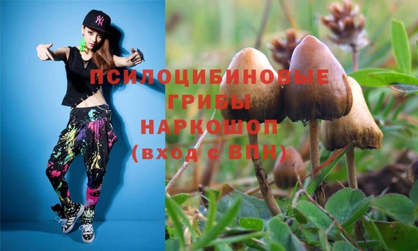 шишки Белокуриха