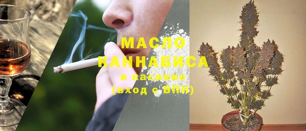 шишки Белокуриха