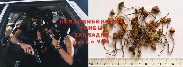 ешки Белоозёрский