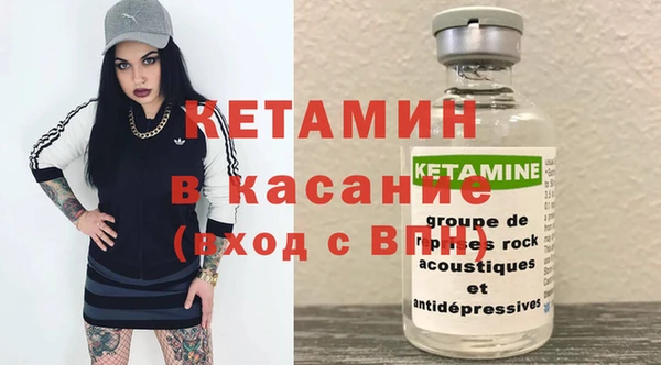 шишки Белокуриха