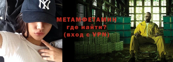 шишки Белокуриха